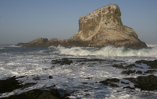 Rough ocean. High & low dangerous rock outcroppings. The Vendor Siren Song lures unwary organizations.